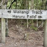 Haruru-Falls