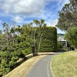 Wellington Botanischer Garten