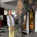 Hop on Hop off Colombo