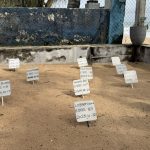 Sri Lanka Süd - Sea Turtle Hatchery