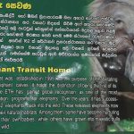 Elephant Transit Home- Sri Lanka Süd - Udawalawe