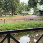 Elephant Transit Home- Sri Lanka Süd - Udawalawe