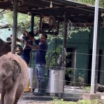 Elephant Transit Home- Sri Lanka Süd - Udawalawe