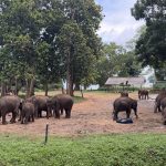 Elephant Transit Home - Sri Lanka Süd - Udawalawe